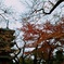 池上本門寺