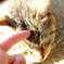photo_2241583