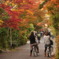 紅葉トンネル
