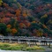 秋　嵐山