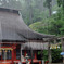 雨の英彦山