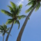 ＧＵＡＭ