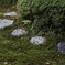 源光庵