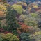 嵐山