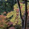 嵐山