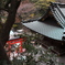 江の島神社