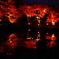 2012年紅葉情景（舞：大磯城山公園）