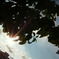 DSCF2254