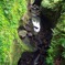 納涼-高千穂・その１３