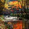 水面に紅葉