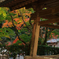 秋の小松寺