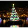 2012　クリスマス・ツリー