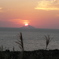 渡島大島