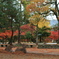 Kouyou kenbutsu