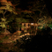 六義園 紅葉ライトアップ