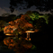 六義園 紅葉ライトアップ