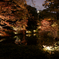 六義園 紅葉ライトアップ