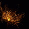 夜の花