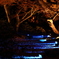 六義園にて