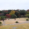DSCF4453