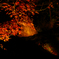 宝厳院紅葉ライトアップ８