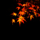 宝厳院紅葉ライトアップ１２