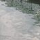 水景