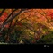錦彩