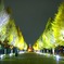 夜の靖国神社