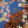 睡蓮鉢の紅葉