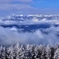 White＆blue