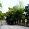 橋