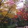 DSCF0042