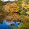 京都竜安寺-6