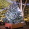 クリスマスツリー
