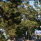 DSC00450