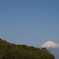 DSC00422