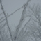 DSCN0185