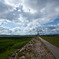 Stepping into the Sky-high Bridge