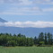 富良野
