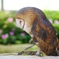 フクロウの想い