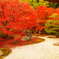 直指庵の紅葉