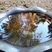 水面の紅葉