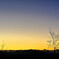 magic hour