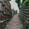 土管坂