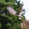 花鳥園