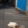 ゴロゴロ