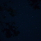 見上げた夜空