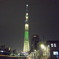 Sky Tree for Christmas