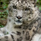 20090804G1_042
